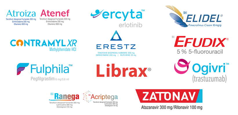 Our Portfolio