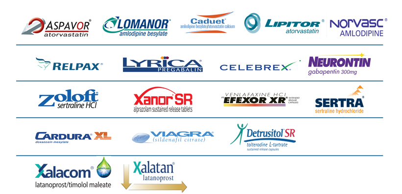 Our Portfolio