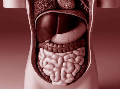 Irritable bowel syndrome (IBS)