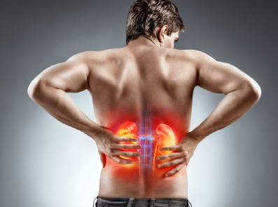 Renin–Angiotensin Inhibition in Kidney Disease